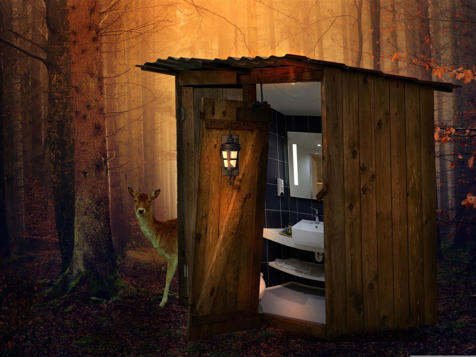 Holzkonstruktion im Wald, darin ein modernes Bad, nebenan steht ein Reh.
